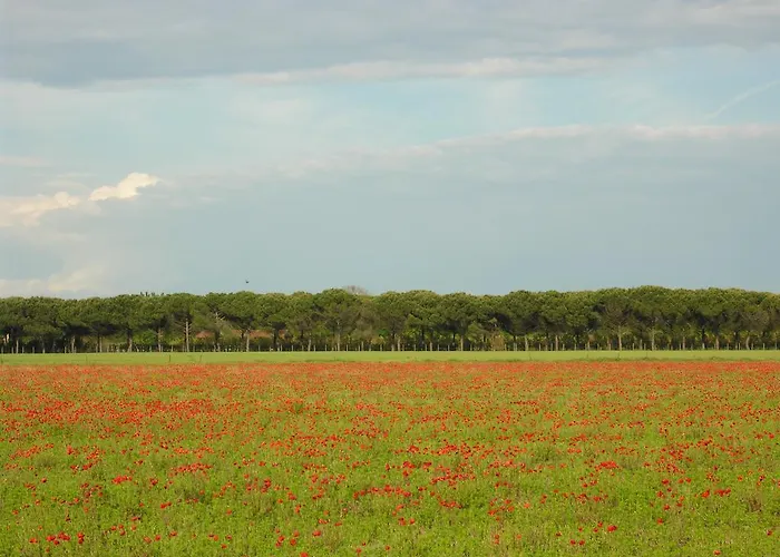 Complesso Solarium Appartement Bibione